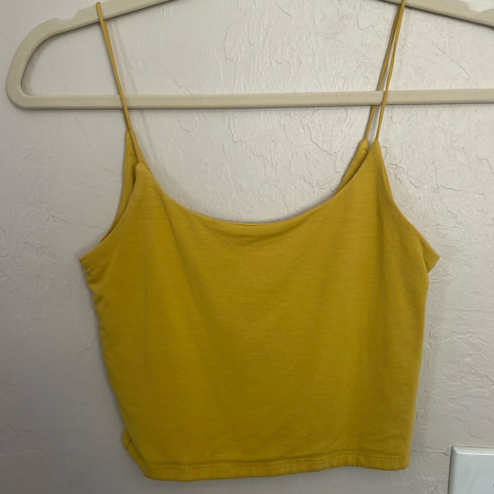 Aritzia crop top